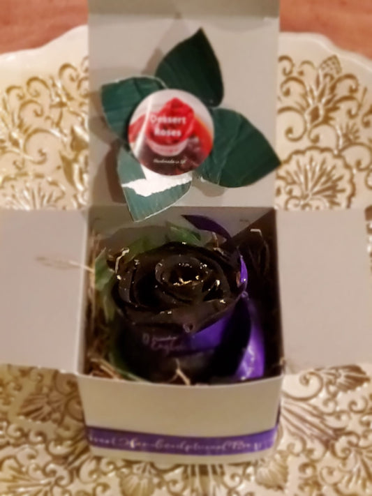 Black Luxury Dessert Rose